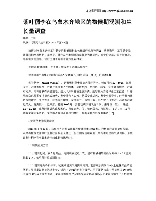 紫叶稠李在乌鲁木齐地区的物候期观测和生长量调查