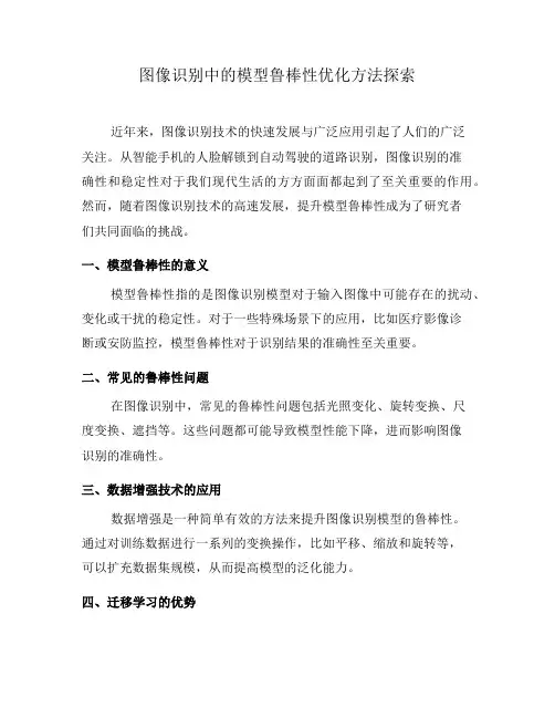 图像识别中的模型鲁棒性优化方法探索(三)