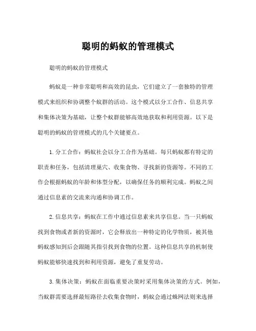 聪明的蚂蚁的管理模式
