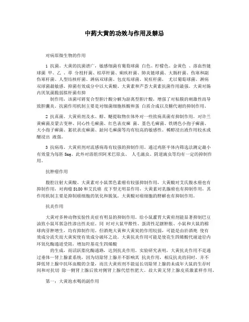 中药大黄的功效与作用及禁忌