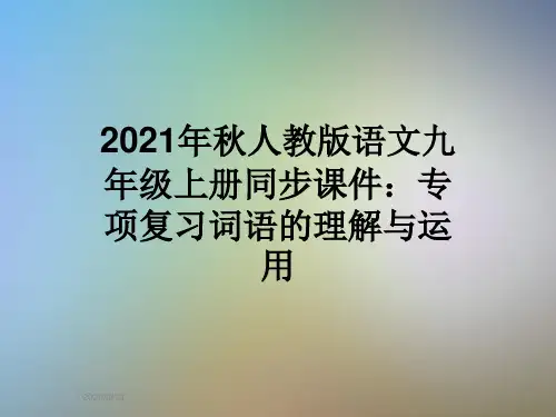 2021年秋人教版语文九年级上册同步课件：专项复习词语的理解与运用