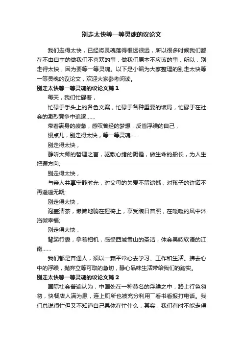 别走太快等一等灵魂的议论文