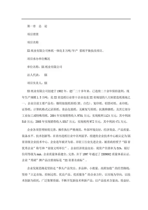 制浆造纸技改项目可行性研究报告