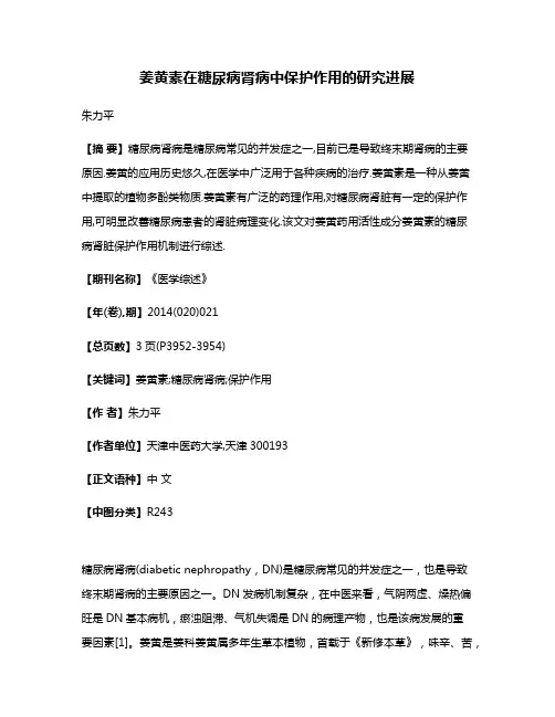 姜黄素在糖尿病肾病中保护作用的研究进展