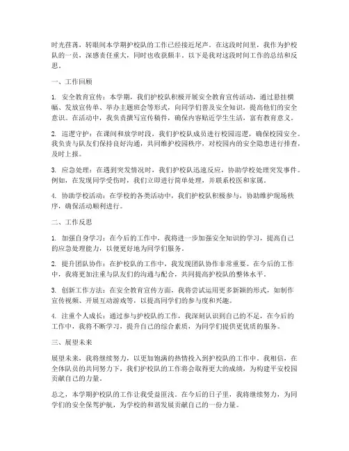 护校队工作总结个人