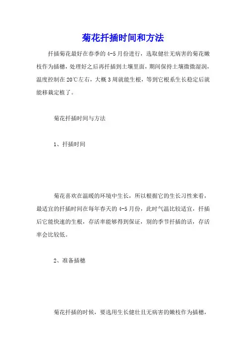 菊花扦插时间和方法