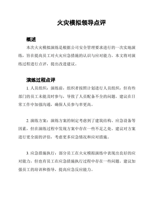 火灾模拟领导点评