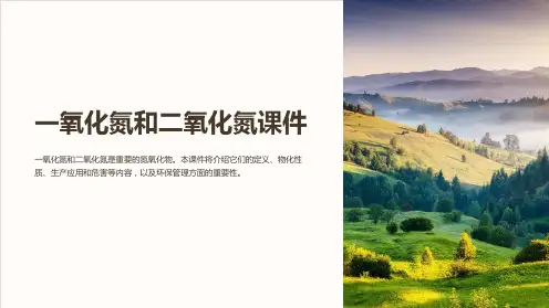 一氧化氮和二氧化氮课件