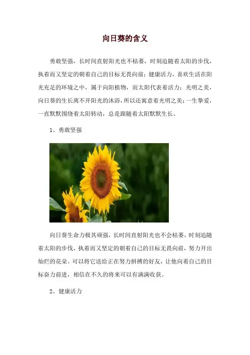 向日葵的含义