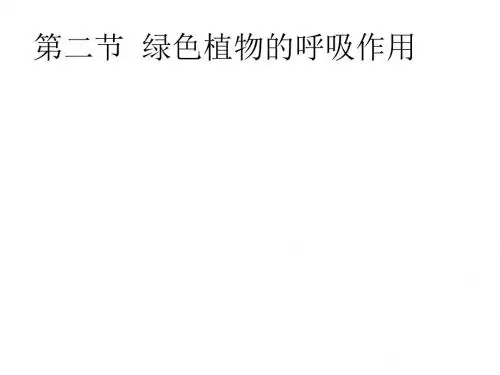 七年级生物上册3.5.2绿色植物的呼吸作用课件(新版)新人教版