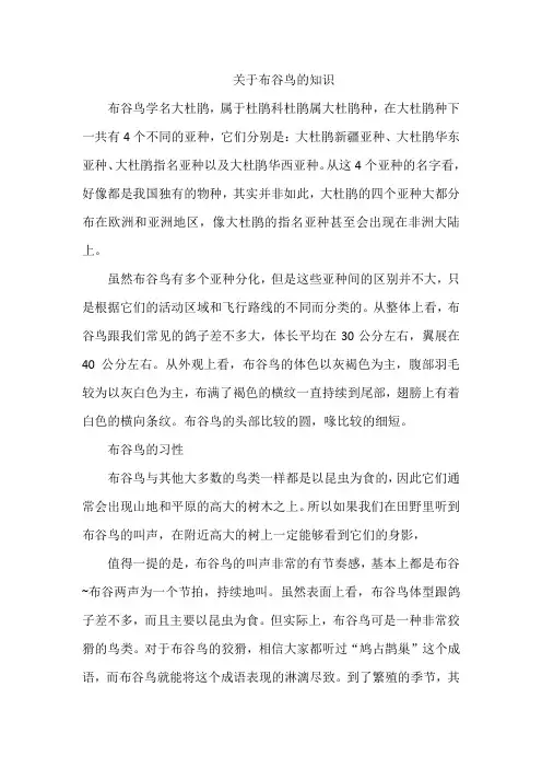 关于布谷鸟的知识