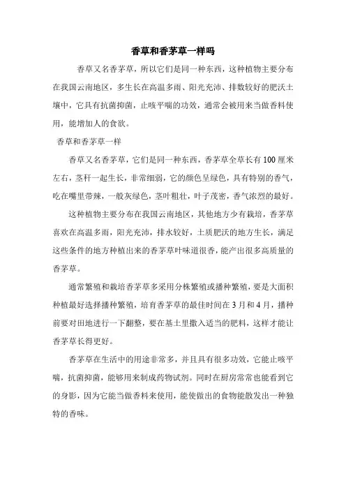 香草和香茅草一样吗.doc