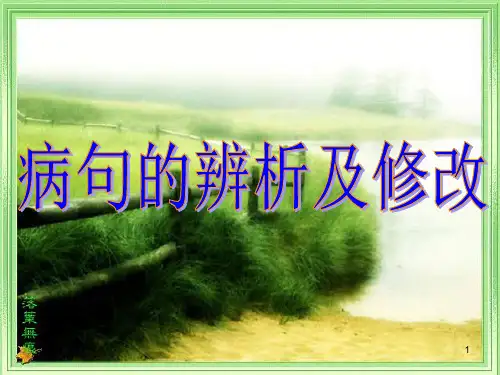 中考语文二轮专题复习：语文病句辨析与修改(共26张PPT)