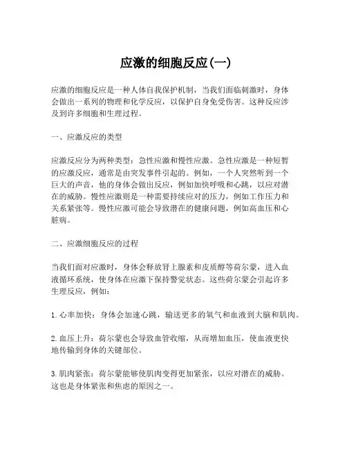  应激的细胞反应(一)