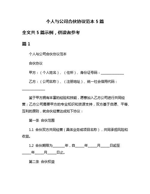 个人与公司合伙协议范本5篇