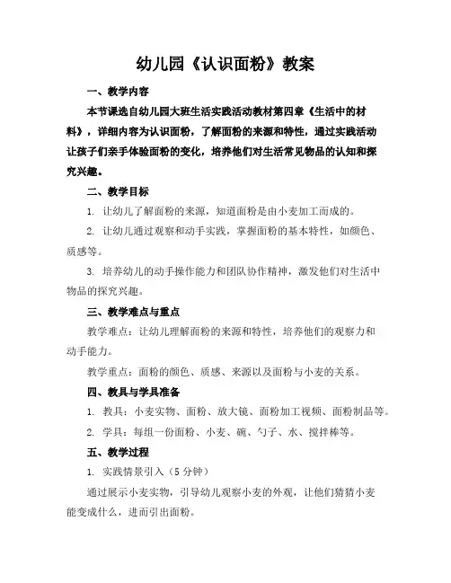 幼儿园《认识面粉》教案