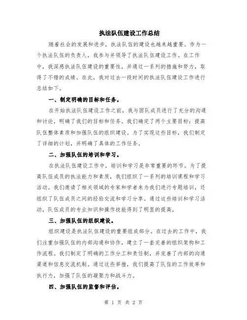 执法队伍建设工作总结