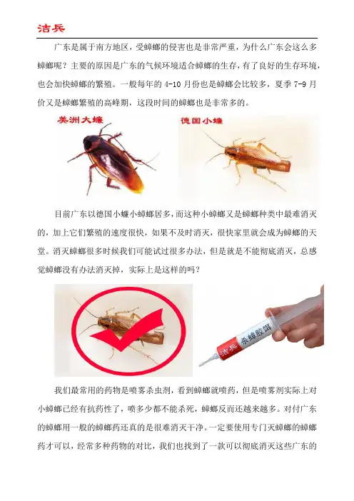 广东为什么好多蟑螂