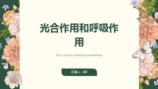 光合作用和呼吸作用
