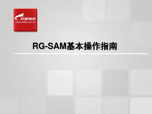 RG-SAM基本操作