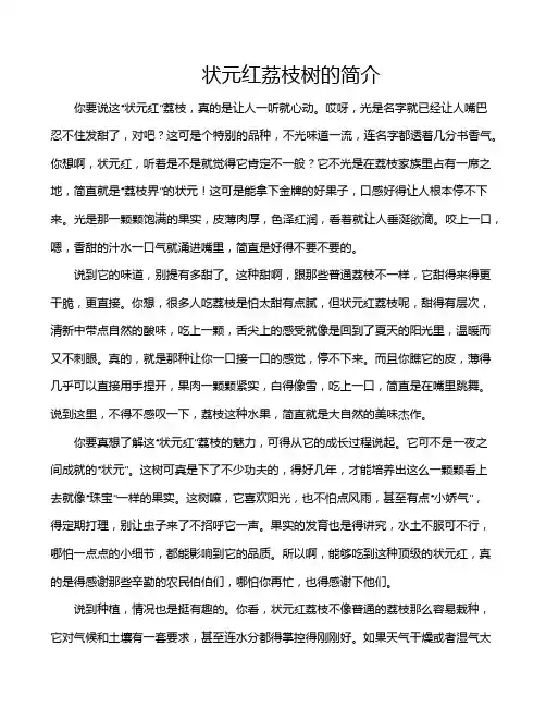 状元红荔枝树的简介