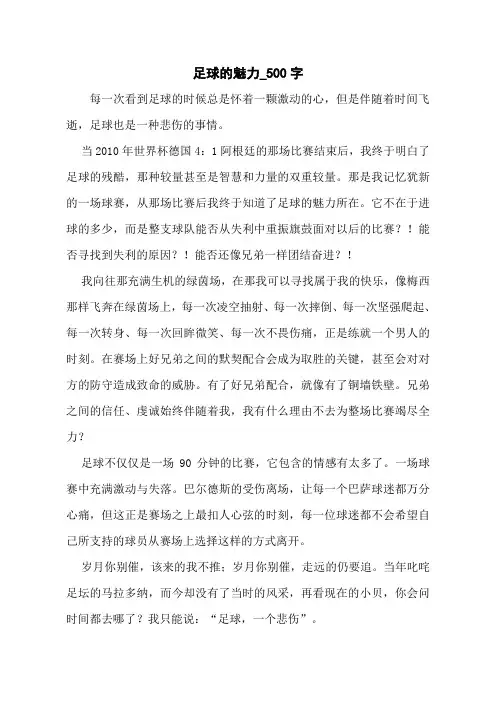 足球的魅力_500字