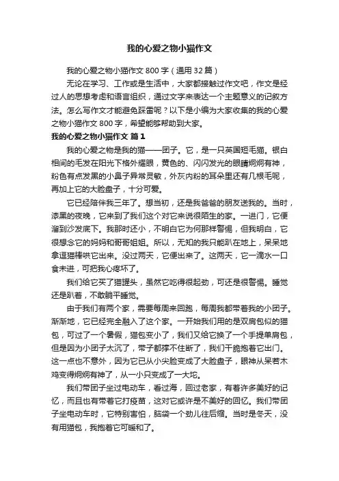 我的心爱之物小猫作文800字（通用32篇）