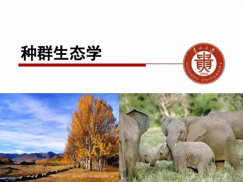 3.种群生态学 PPT课件