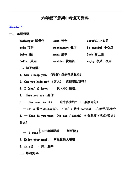 外研社六年级下册期中考知识点总复习