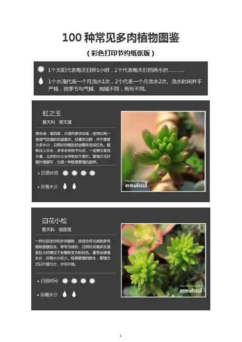 100种常见多肉植物图鉴(彩色打印节约纸张版)