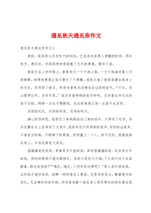 遇见秋天遇见你作文