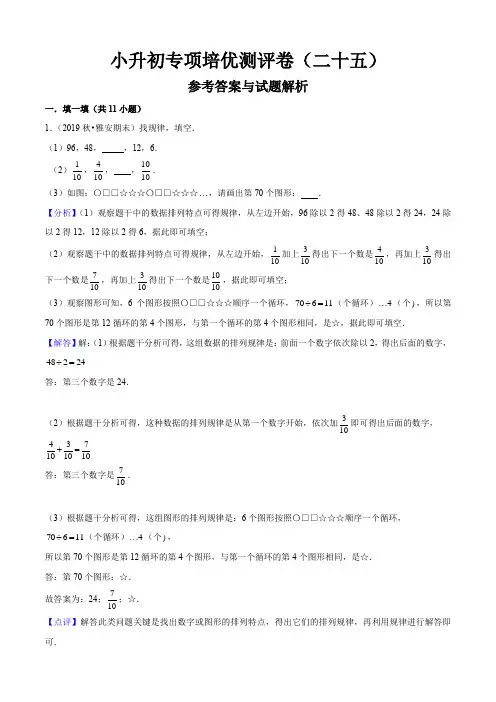 小升初专项培优测评卷(25)找 规律(教师版)