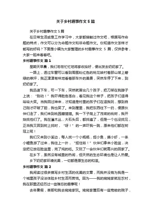 关于乡村趣事作文5篇