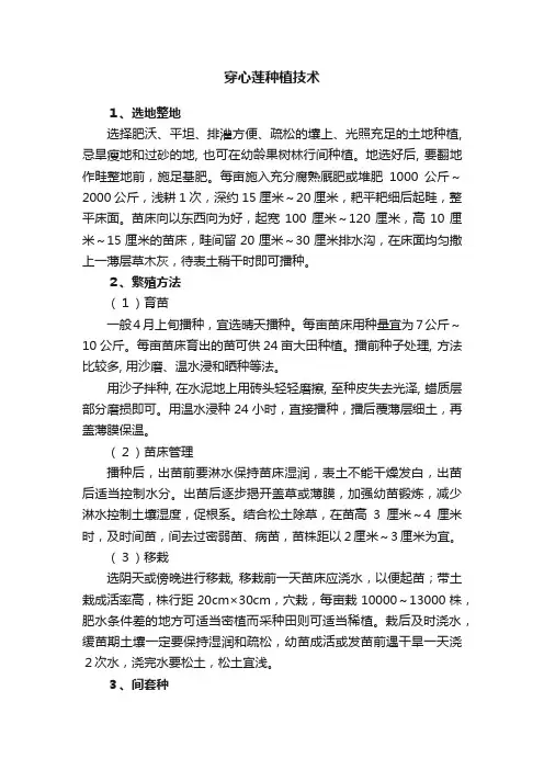 穿心莲种植技术