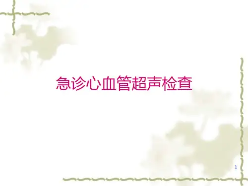 急诊心血管超声检查PPT课件