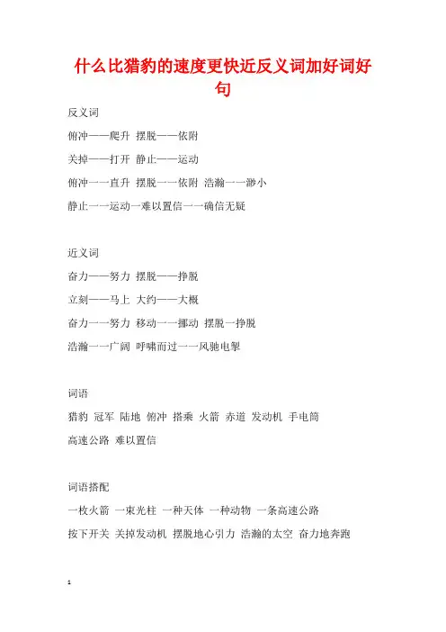 什么比猎豹的速度更快近反义词加好词好句