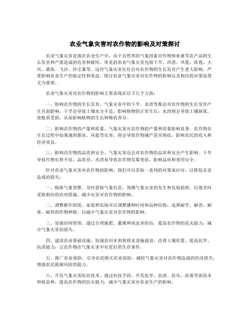 农业气象灾害对农作物的影响及对策探讨