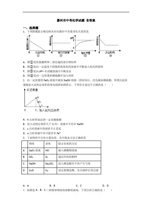 嘉兴市中考化学试题 含答案