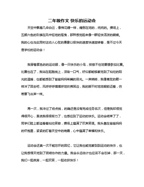 二年级作文 快乐的运动会 2