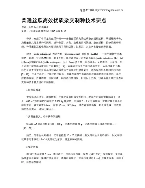 普通丝瓜高效优质杂交制种技术要点