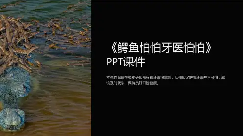 《鳄鱼怕怕牙医怕怕》课件