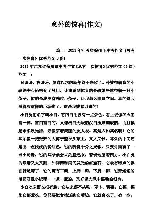 意外的惊喜(作文)
