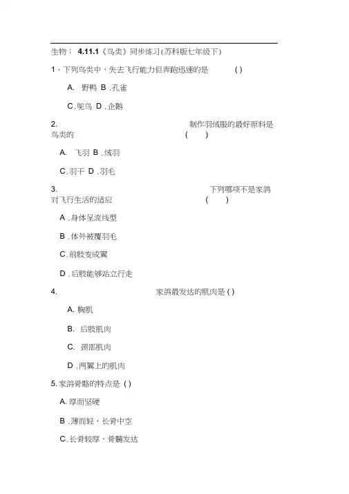 鸟类同步练习