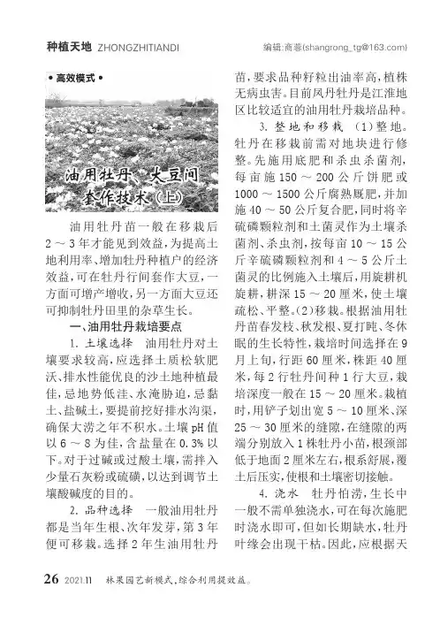 油用牡丹、大豆间套作技术(上)