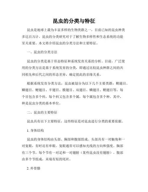 昆虫的分类与特征
