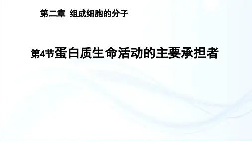 人教版(新)高中生物必修一第二章蛋白质生命活动的主要承担者教学(28张)-PPT优秀课件