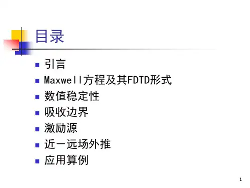 时域有限差分法