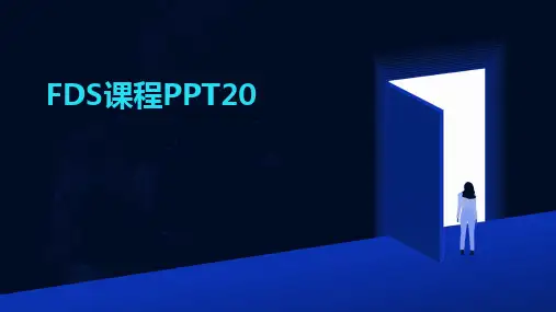 FDS课程PPT20