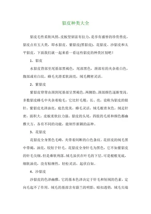 貂皮种类大全