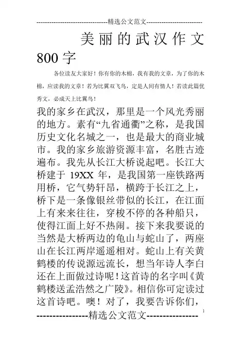 美丽的武汉作文800字